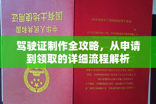 金州驾驶证制作全攻略，从申请到领取的详细流程解析